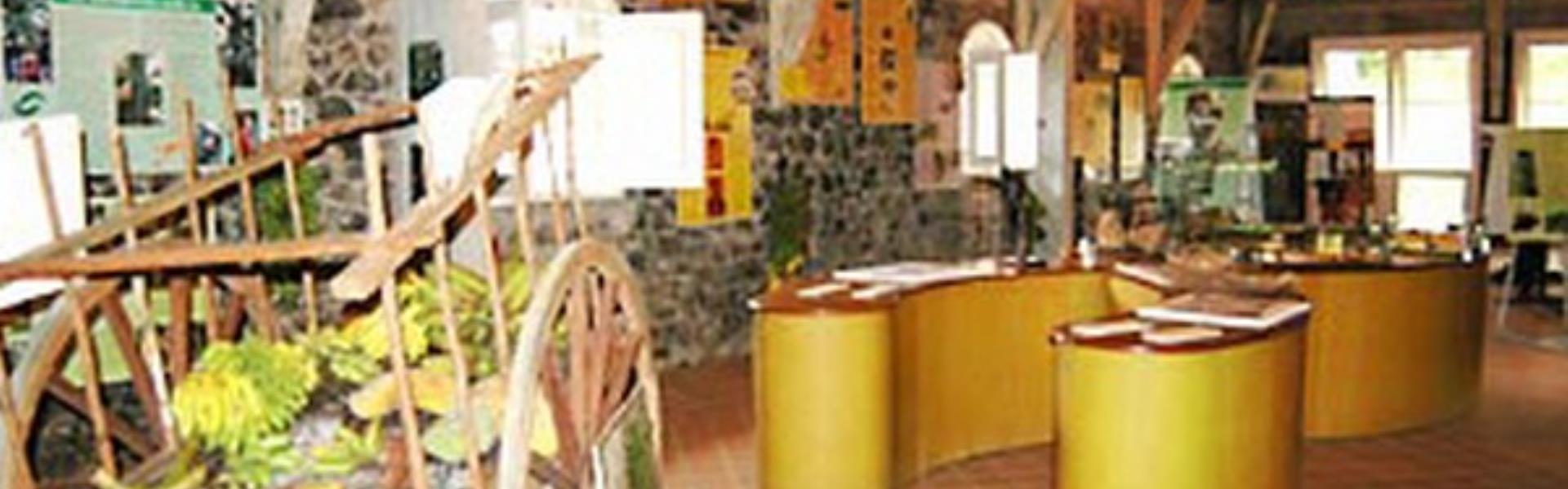 MUSEE DE LA BANANE SAINTEMARIE Martinique MUSEE DE LA BANANE SAINTEMARIE Martinique