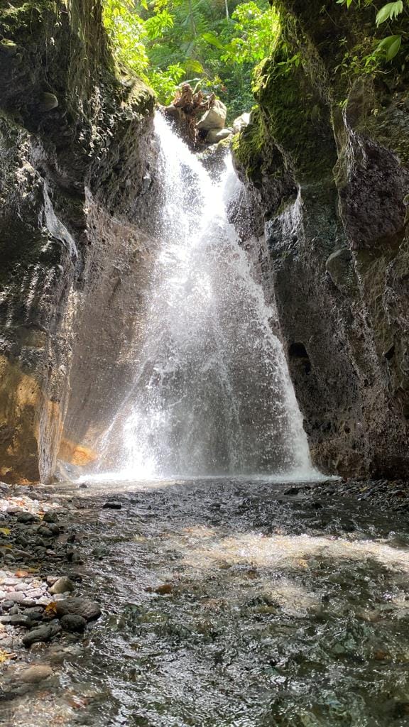 346944768_562997902396134_693861824174783560_n