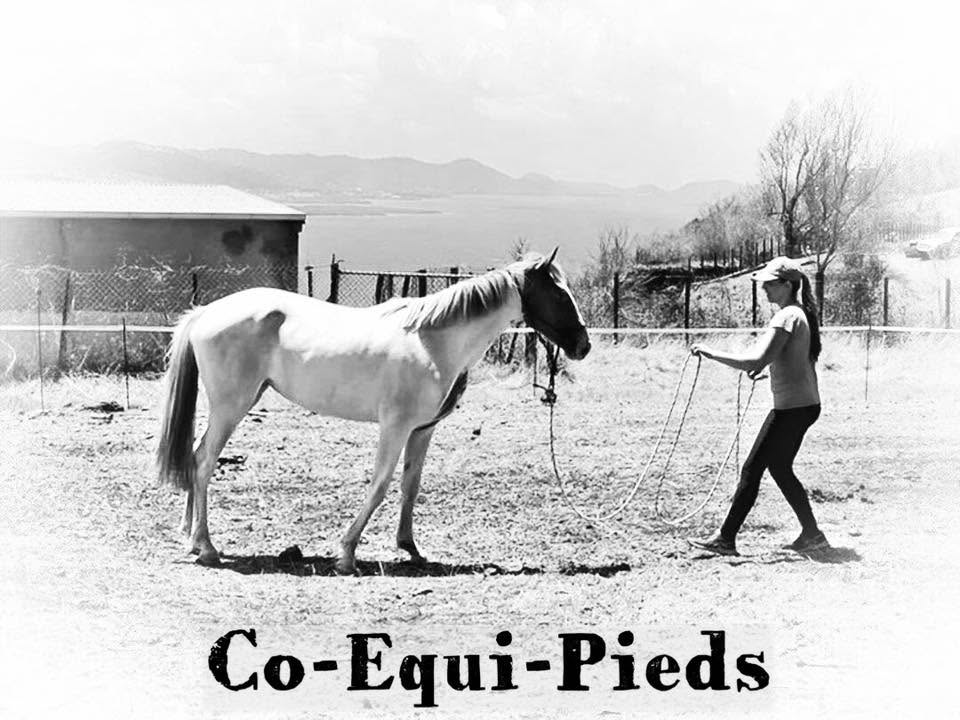 CO-ÉQUI-PIEDS