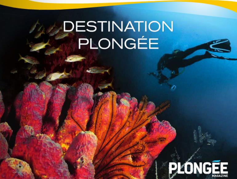 DestinationPlongée DestinationPlongée
