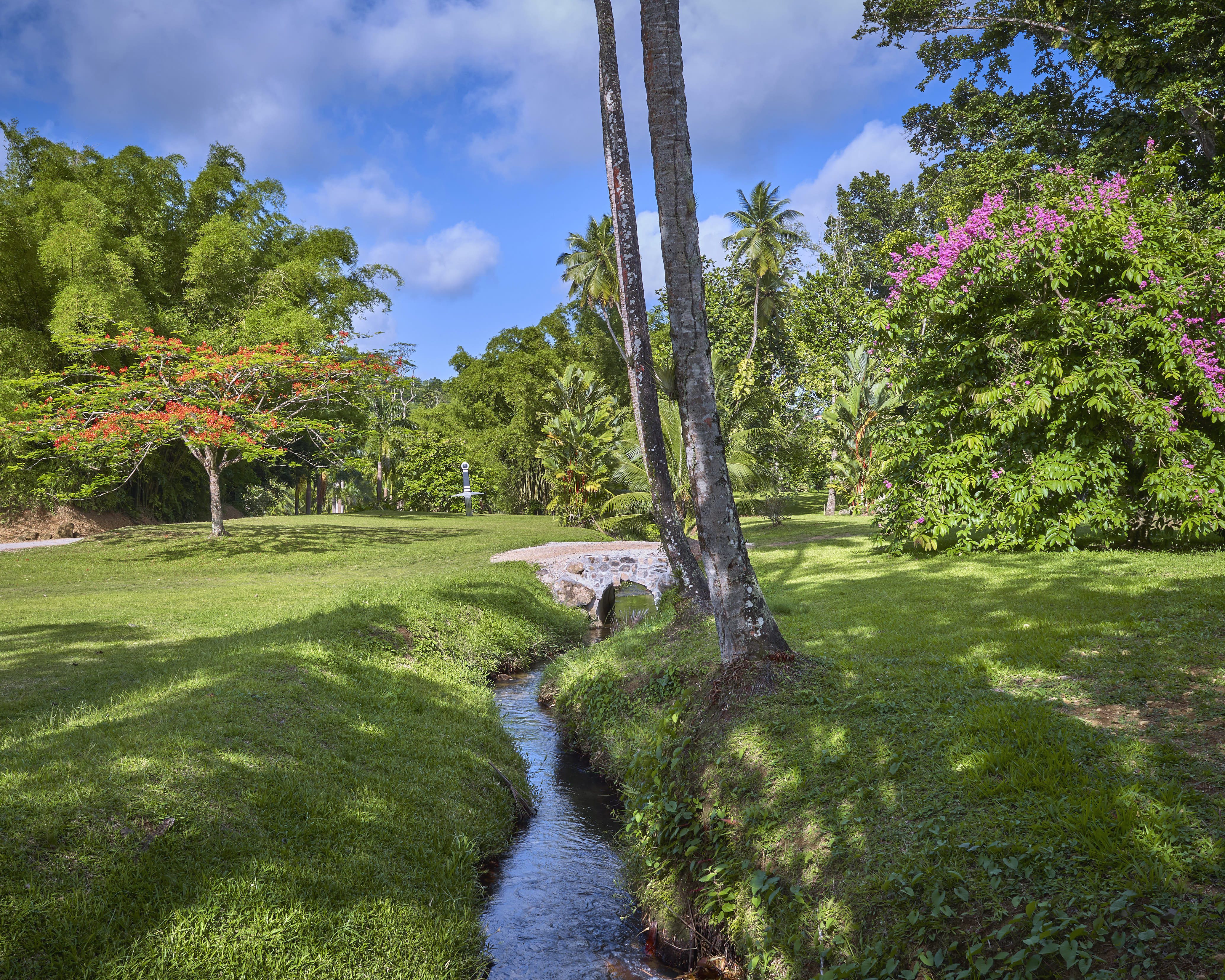 jardin Habitation Saint-Etienne