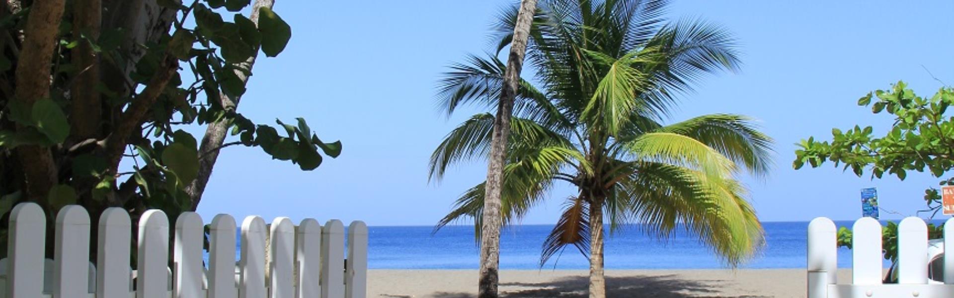 VILLA COCONOISETTE LE CARBET Martinique