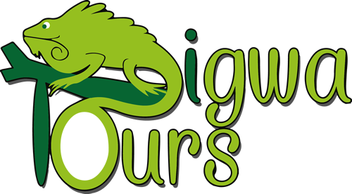 IGWATOURS