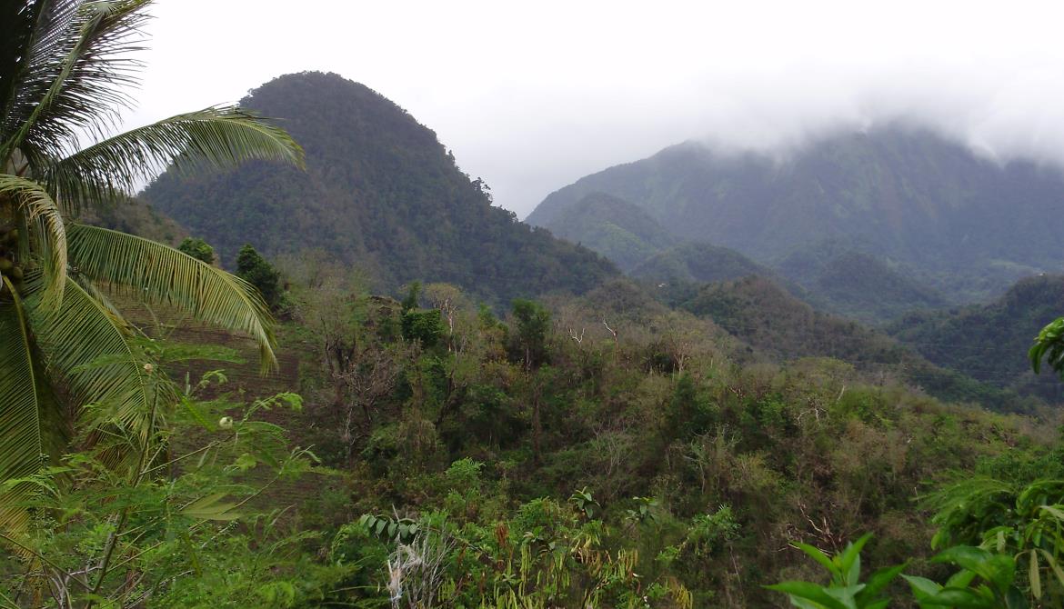 LES PITONS DU CARBET Découvrez la Martinique, ses Incontournables et