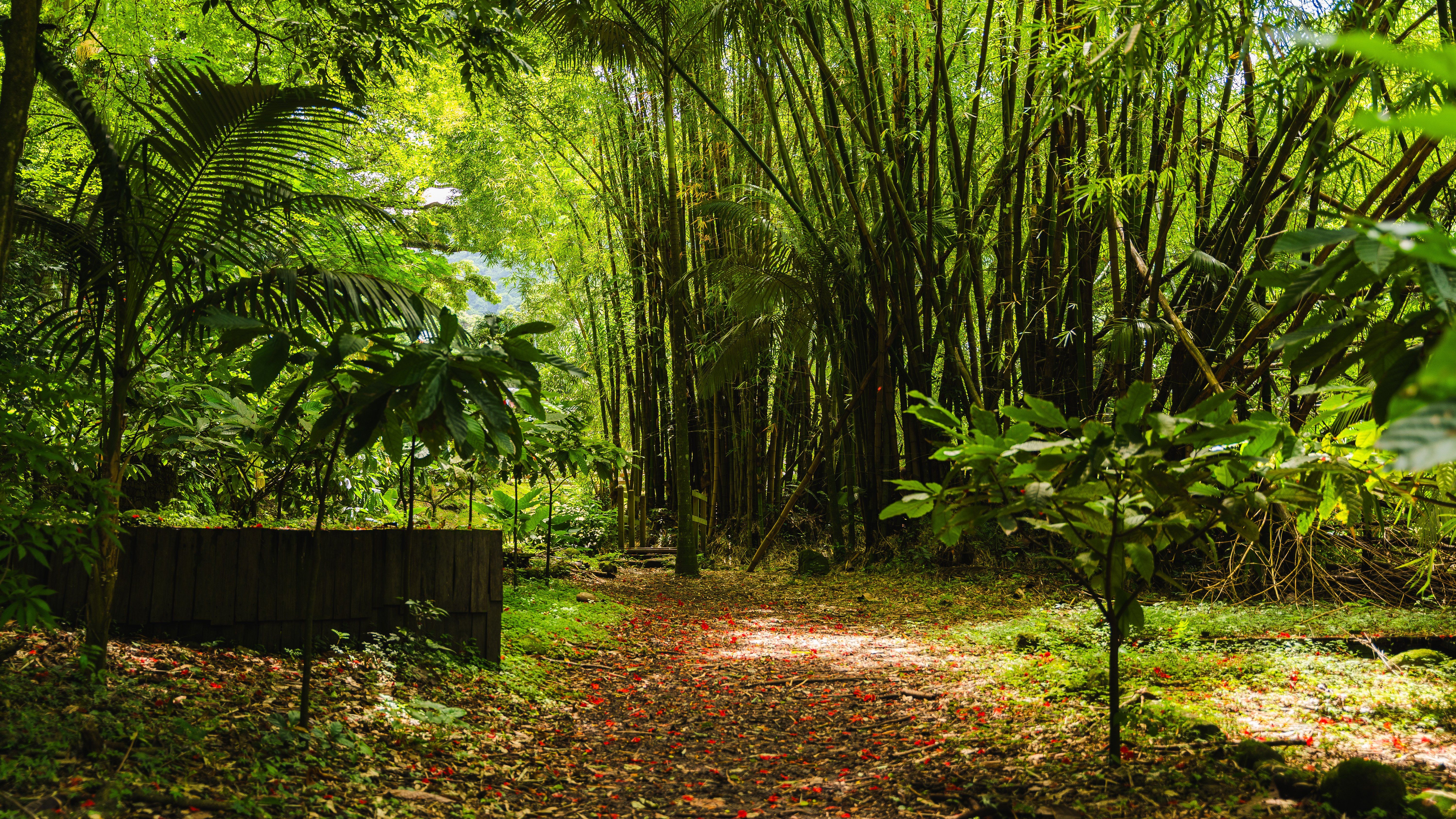 PRECHEUR_DOMAINE_ANSE_CERON_JARDIN_SAX-08292
