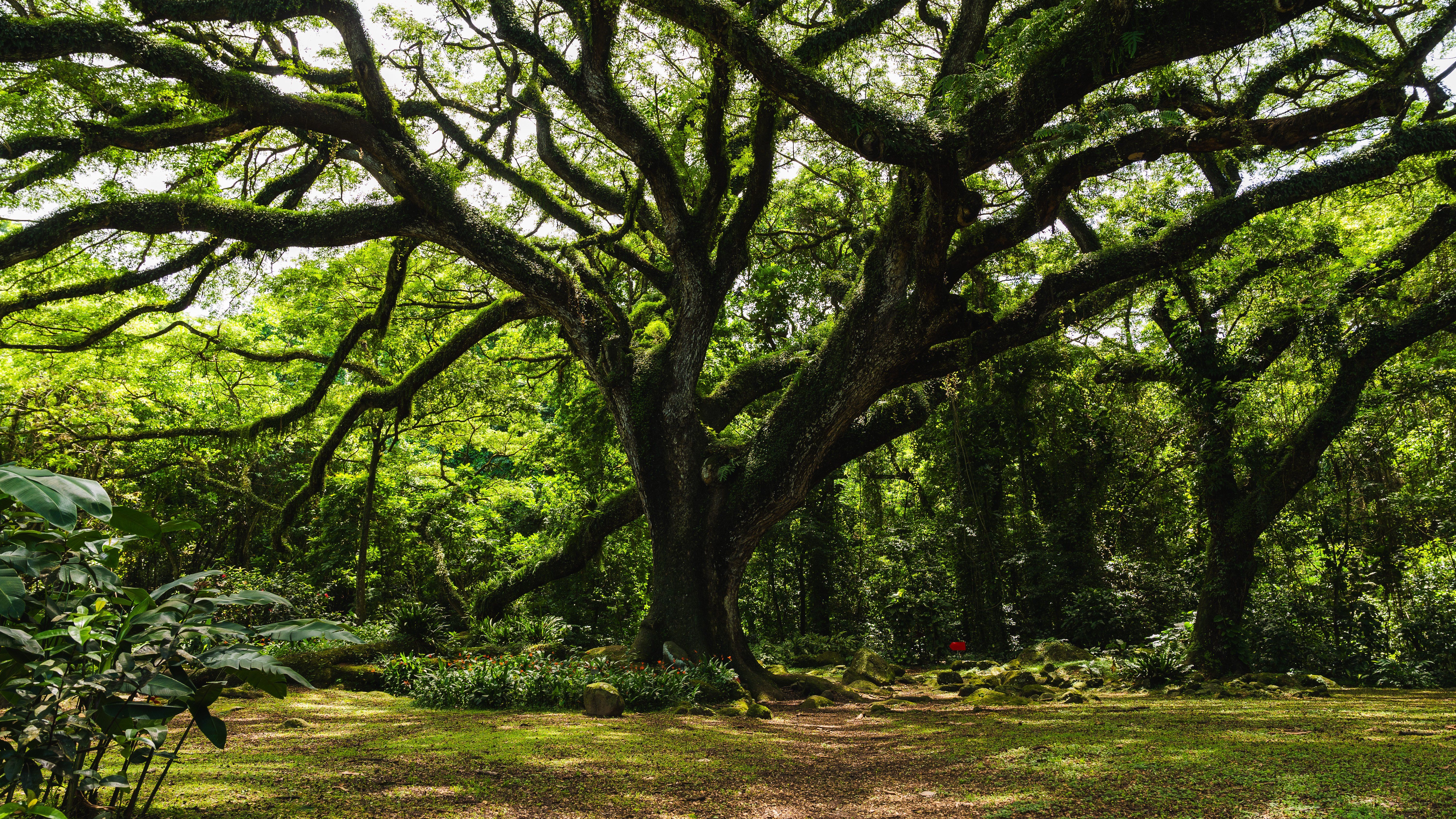 PRECHEUR_DOMAINE_ANSE_CERON_JARDIN_SAX-08316