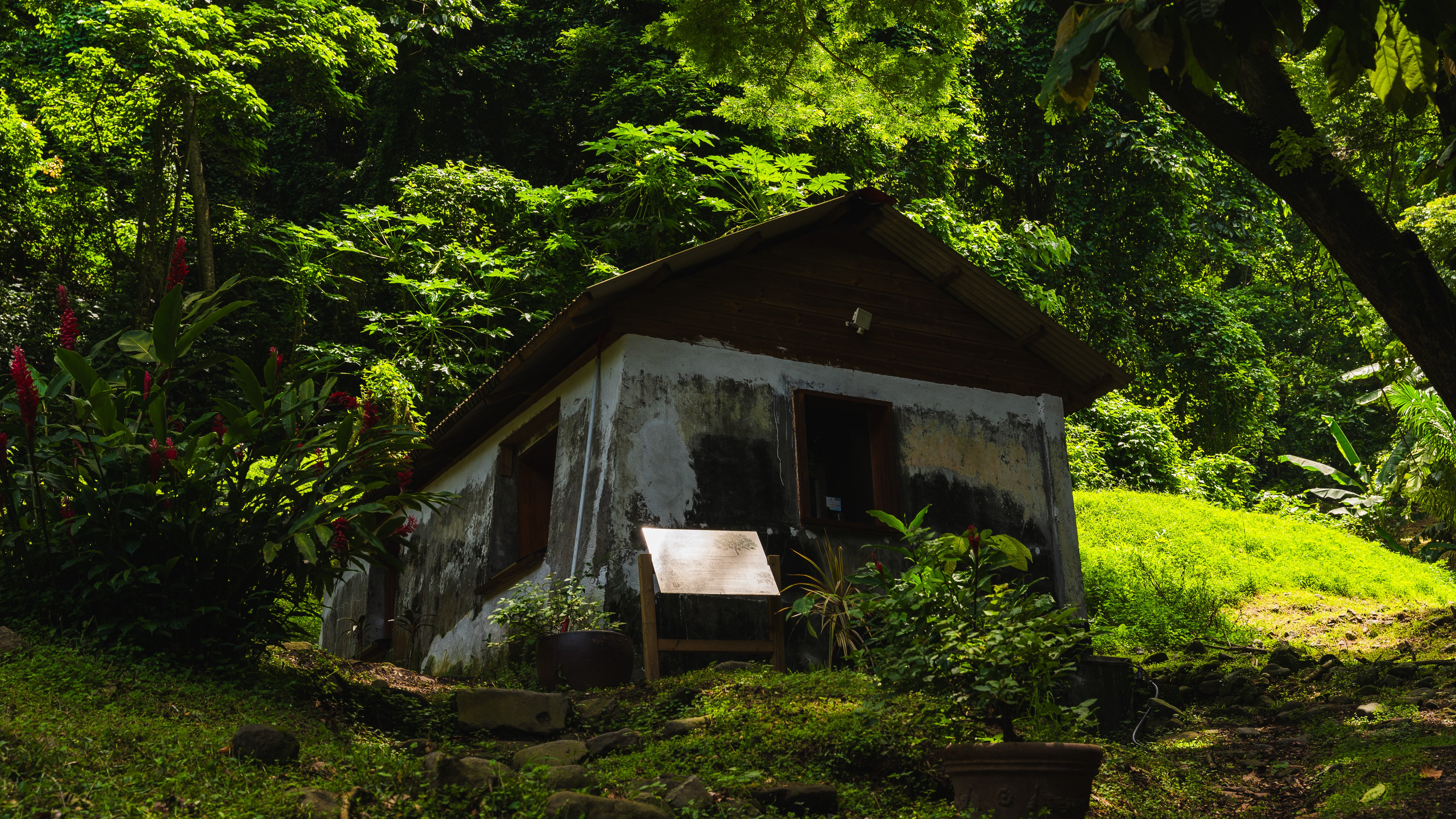 PRECHEUR_DOMAINE_ANSE_CERON_JARDIN_SAX-08420