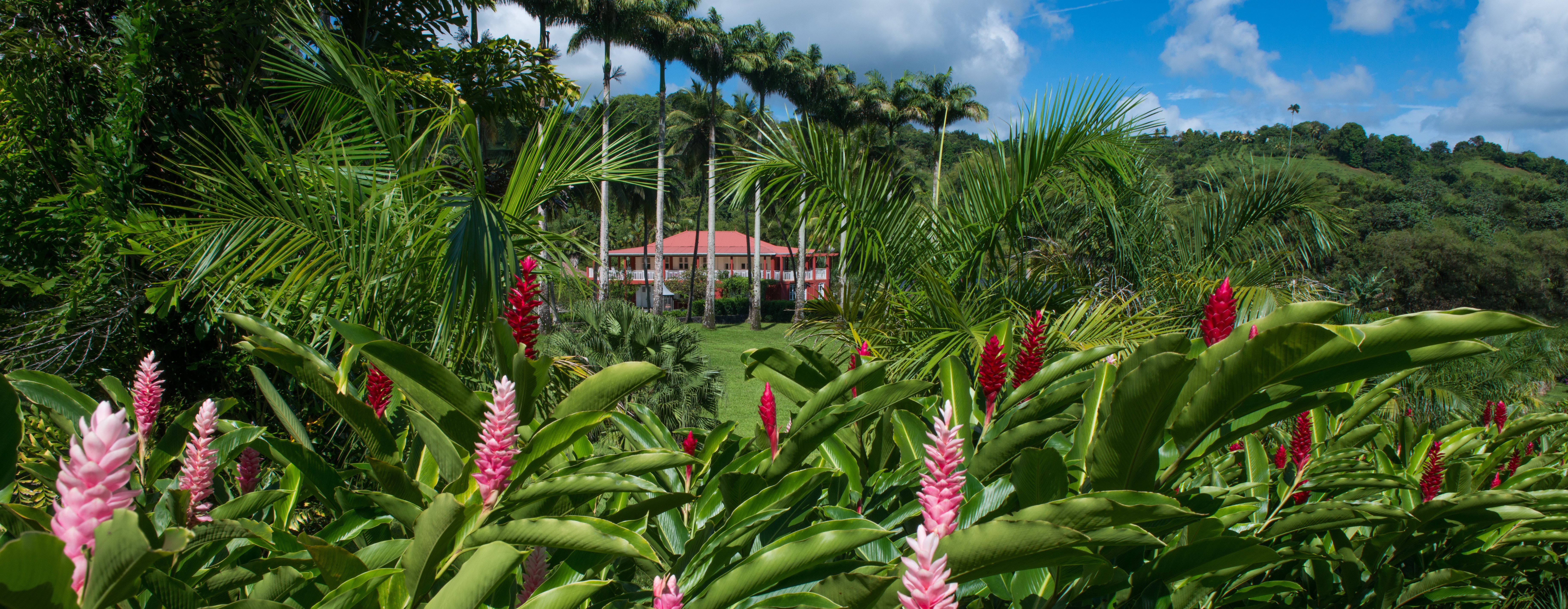 JARDIN REMARQUABLE DE L'HABITATION SAINT-ETIENNE