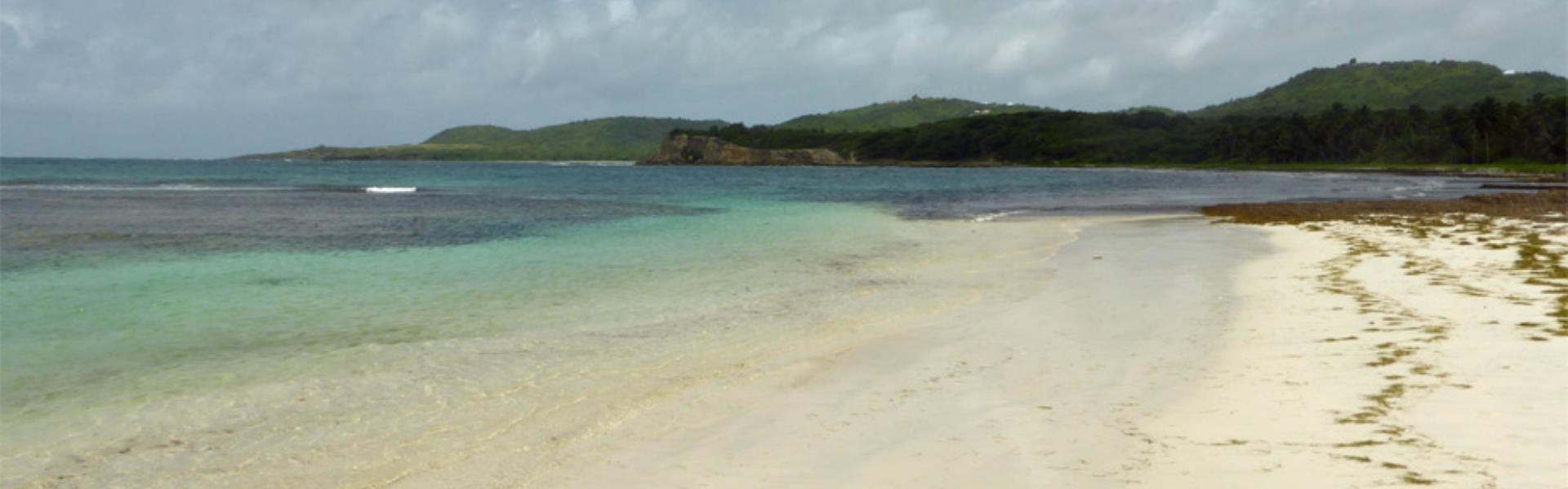 Anse Petit Macabou Le Vauclin Martinique