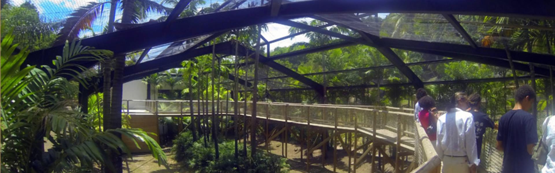 ZOO DE MARTINIQUE LE CARBET Martinique